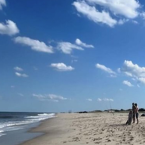 Summer Is More Funner