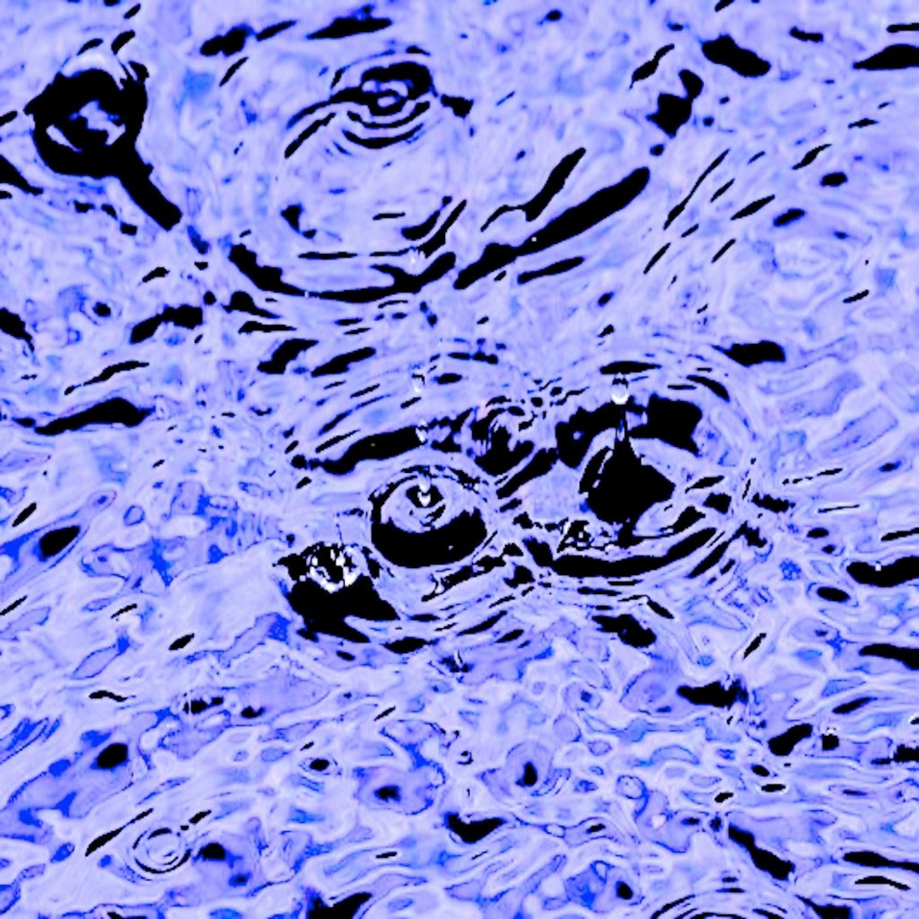 Everyday - Bloop Race episode artwork