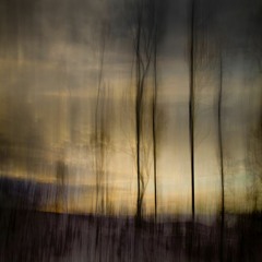 Incotro | FREE DL