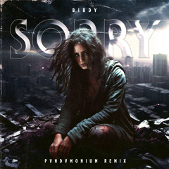 Birdy - Sorry (PVNDVMONIUM Remix)