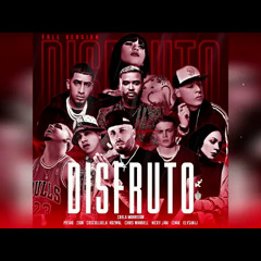 Disfruto (Remix) - Nicky Jam, Pusho, Zion, Cosculluela.