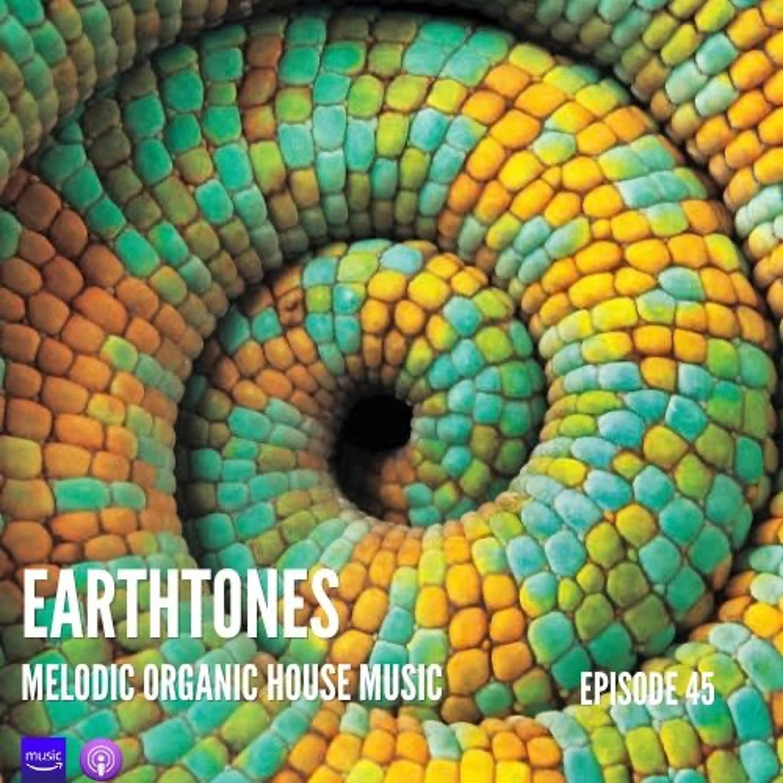 Earthtones - Episode 45