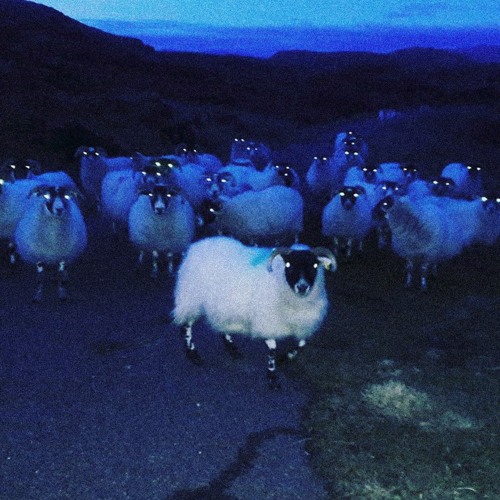 E_DEATH - gabapentin ii (FINCHES Remix)