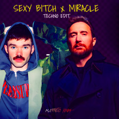 Sexy Bitch x Miracle - David Guetta vs Dom Dolla [Techno Edit]