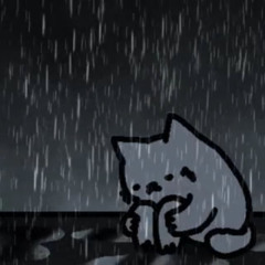 я один в номере отеля