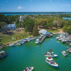 cabbage-key-jingle vol-2