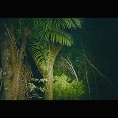 Announcing...Echoes: New Single Out 08/05/2020