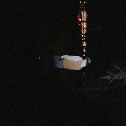 yuuu (prod. dracogoincrazy)