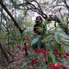 IN THE WIND [PROD. LEVITATINGMAN]