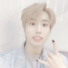 scars (skz) — acapella, muffled & reverb