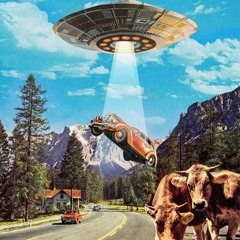 Chubbs - Summer Rollers