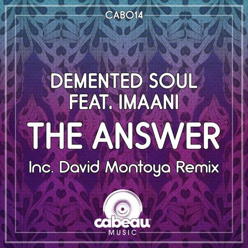 Demented Soul Ft. Imaani - The Answer (Demented Soul Imp5 Afro Mix)