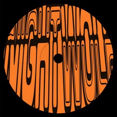 Nightwolf - Radio Waves [B2]