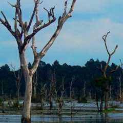 Matarni - Kikuyu (Radio Mix)