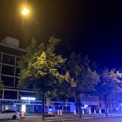 Whenyouseeatree