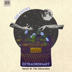She Knows - Extraordinary (Original Mix) [BAR25-185]