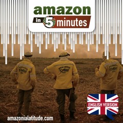 Amazon in 5 minutes: drug trafficking in Ecuador and mining in the Yanomami Indigenous Land
