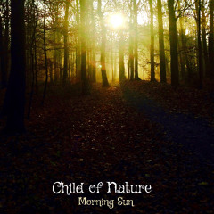 Morning Sun & Video Link