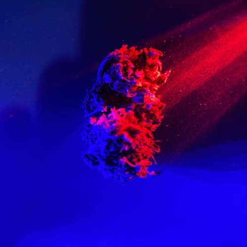 Blackarts - Holding Up For A Hero (Salty & TipTh)