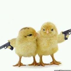 2 chicks with guns (prod Tree)