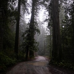 DANCE WITH YOUR FRIENDS [dance house mix 01]