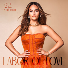 Labor Of Love (Acoustic Version)