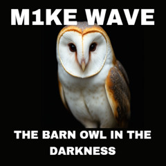 The Barn Owl In The Darkness (Slowed)