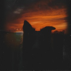 The Half Blind Dog - The Collapsing World Inside Me