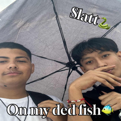 On my ded fish (Feat. Yk lil j)