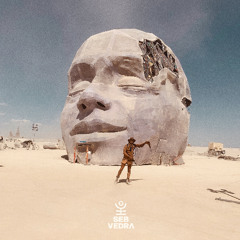 BURNING MAN 2022 / ROBO SUNRISE
