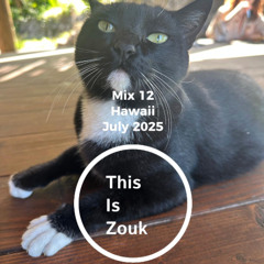 Mix 12 - ThisIsZouk - July 2025