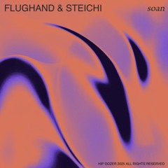 Flughand & steichi - soan