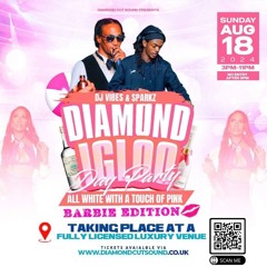 SPARKS & VIBEZ - DIAMOND IGLOO 2024