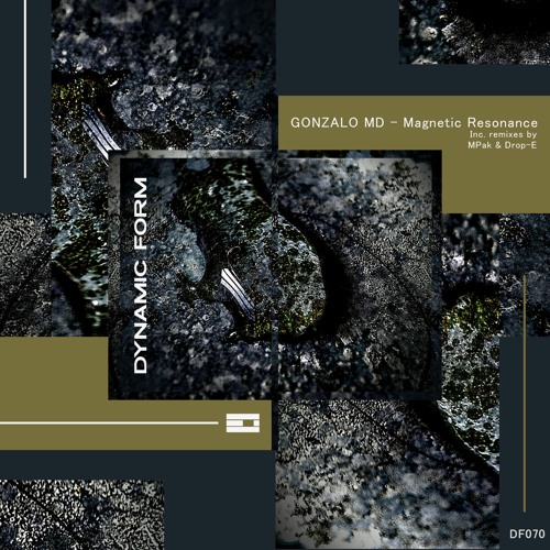 Gonzalo MD - Magnetic Resonance