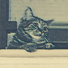 switching side {baby keem,asap rocky} vocals