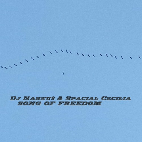 Dj Narku$ & Spacial Cecilia - SONG OF FREEDOM