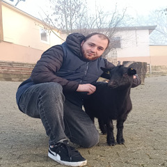 Молчание ягнят