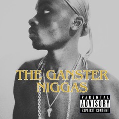 Ganster Party Niggaz