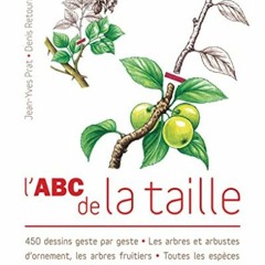 Télécharger le PDF L'ABC de la taille PDF EPUB fTcHB