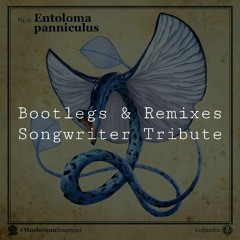 [RMX/VA] Tribute Cover Songwriter Bootlegs | Q2 (459)