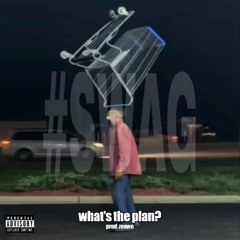 what's the plan