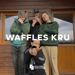 WAFFLES KRU / Exclusive Mix for Electronic Subculture