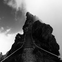 intellectual_wanderer - Freedom Call