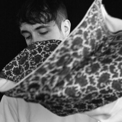 Premiere: Sébastien Forrester - Lunacy [Belleville Records]