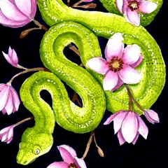 snakreran