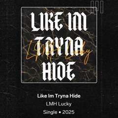 Like Im Tryna Hide