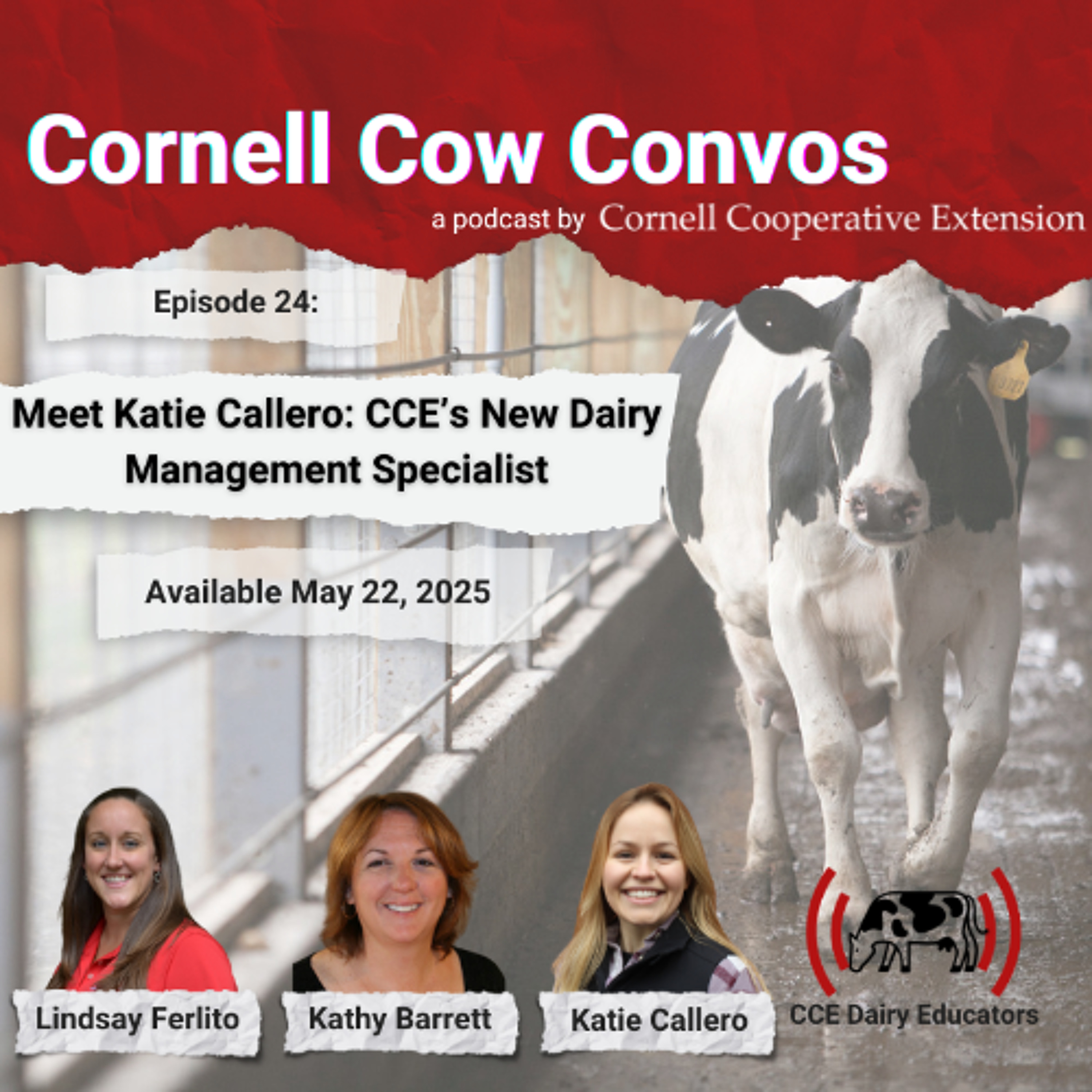 CCE DAIRY EDUCATORS