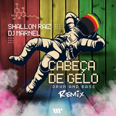 Shallon Raiz - Cabeça De Gelo "DJ Marnel Remix" ( DNBB 2022 )