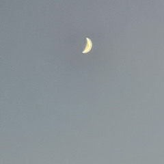 ruslan dobrıy duman