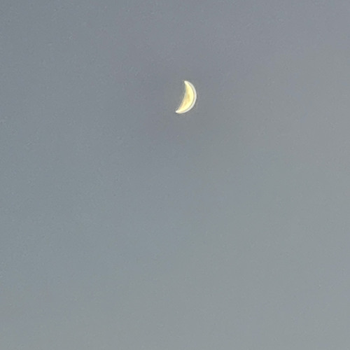 ruslan dobrıy duman